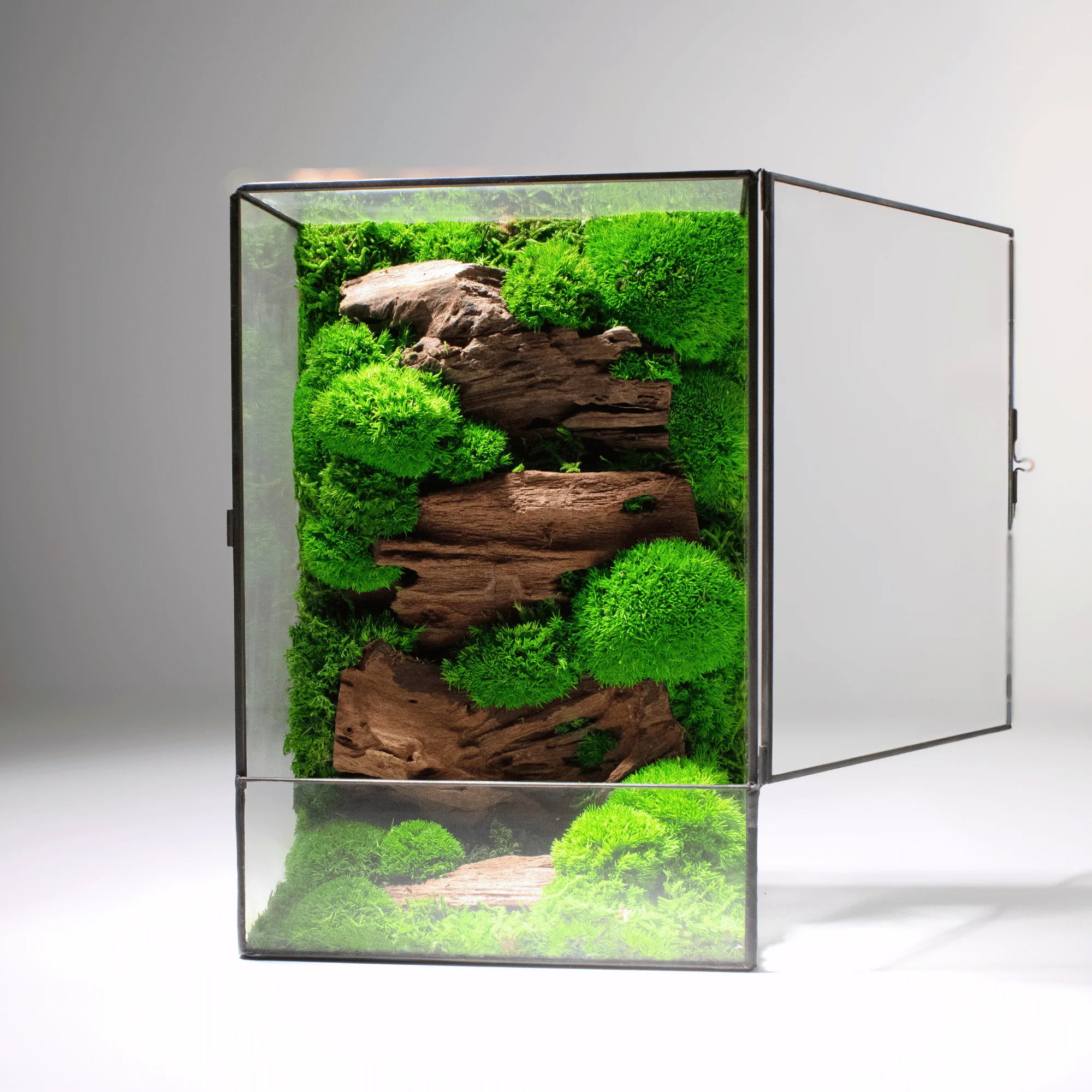 All Terrariums - International